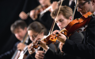 Everything Your Kids Need To Know About The Orchestra